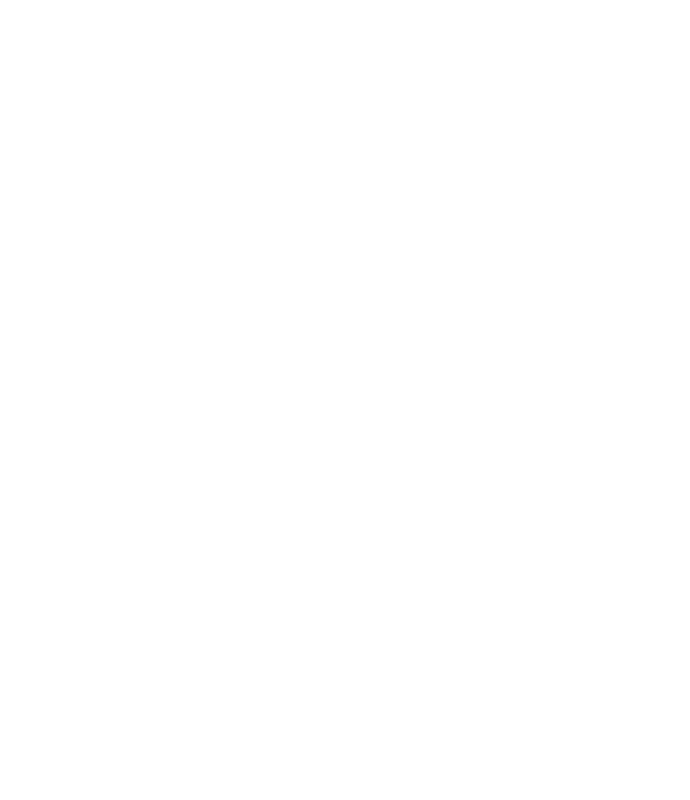 The full achievement of the arms of Liam Randall in line-art form, with the motto Fortitude Will Prevail.